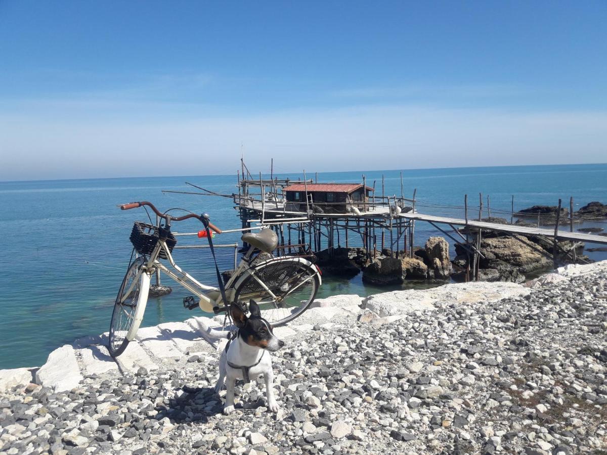 Apartmán Casa A 20 Metri Dal Mare! Fossacesia Exteriér fotografie
